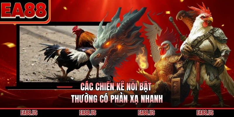 Các chiến kê nổi bật thường có phản xạ nhanh