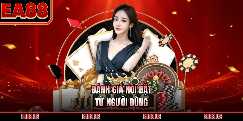 Đánh giá nổi bật từ người dùng