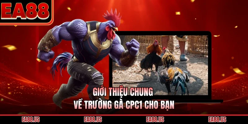 Giới thiệu chung về trường gà CPC1 cho bạn