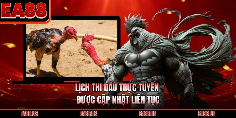 Lịch thi đấu trực tuyến được cập nhật liên tục