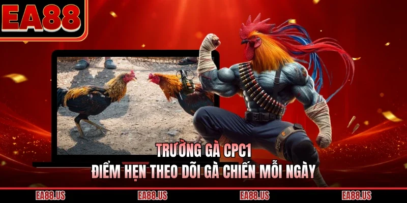 Trường Gà CPC1 - Điểm Hẹn Theo Dõi Gà Chiến Mỗi Ngày